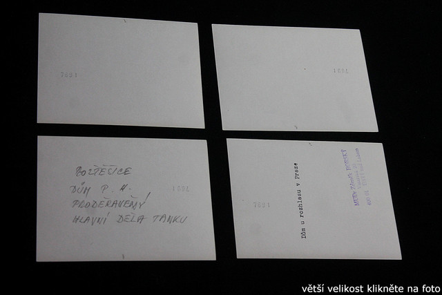 IMG-3747.jpg