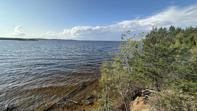 IMG 5398.jpg