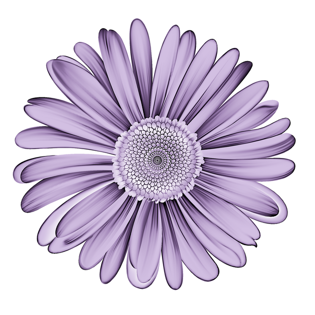 677cf45fe58c2d0630c002da739ab7b7.png