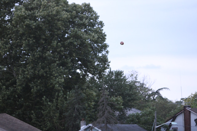 IMG-2944.jpg