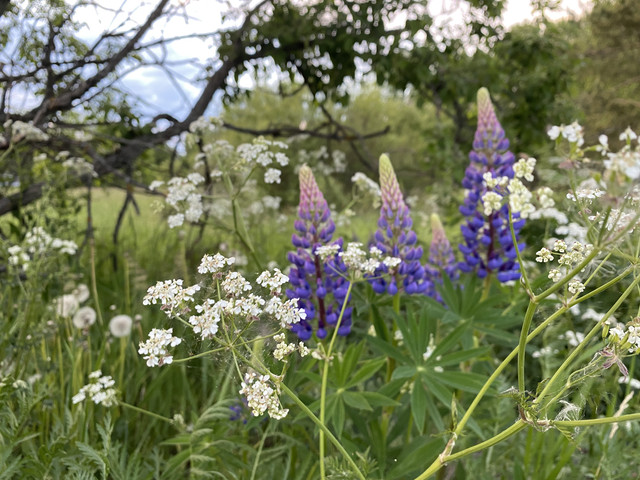 CDD1-AC4-D-51-EF-48-CD-BA17-6335-BEA1748