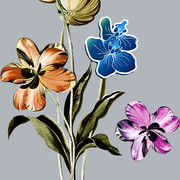 1dcbd0bd4421227f5f3fa9e793166d96