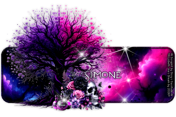 Simone 95ºBanner.png