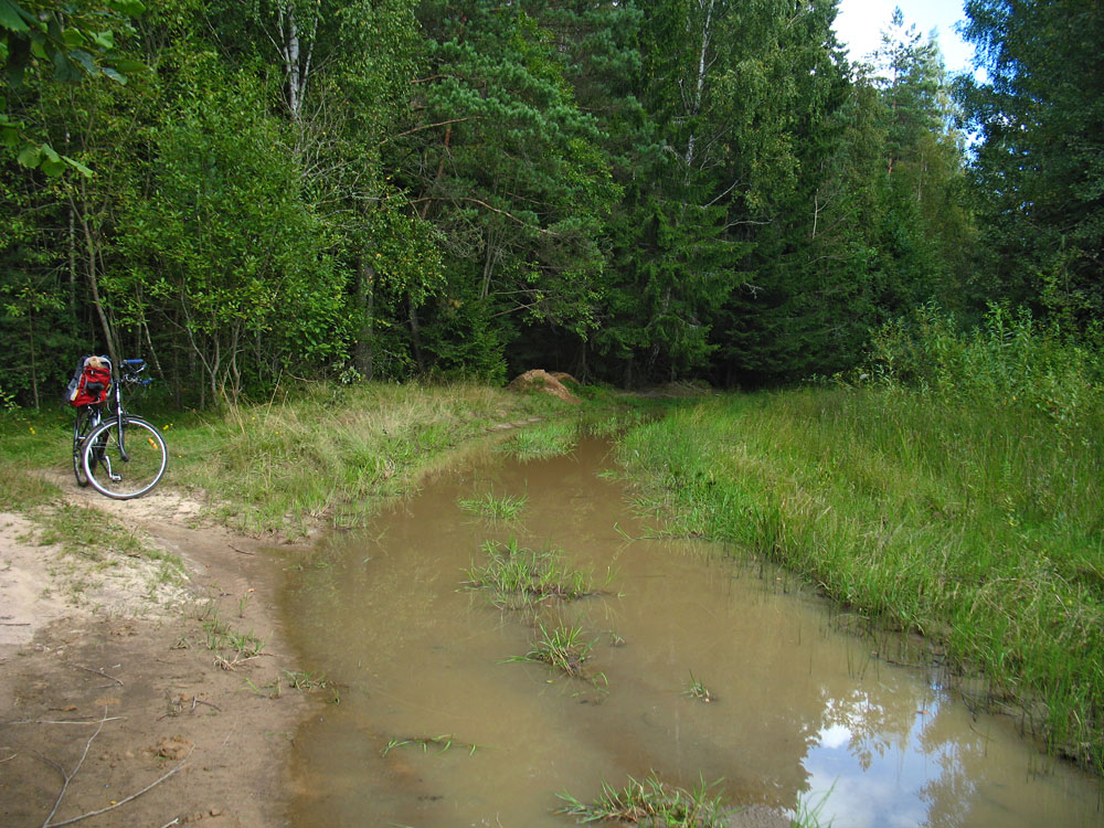 https://i.ibb.co/BVVQ2PZY/26177757.jpg