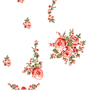 1da56d53a22d15918f9b7dc046cbf79a