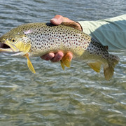 IMG-6085