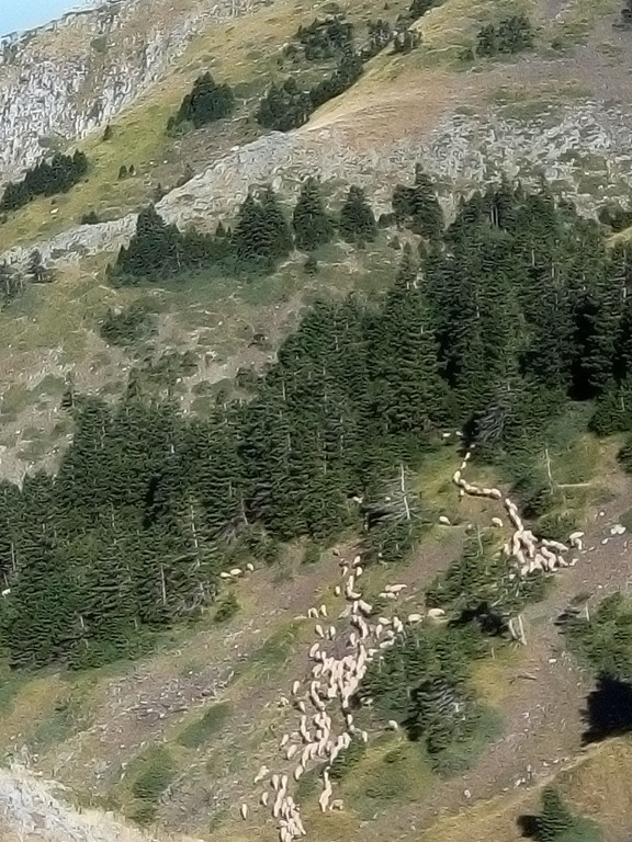 img9b.jpg