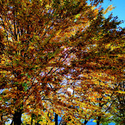 IMG20211009124102