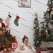IMG 4486