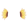 https://i.ibb.co/BVbm7bzT/331b1f1dea6572ea49fd981b5a9bed54.png
