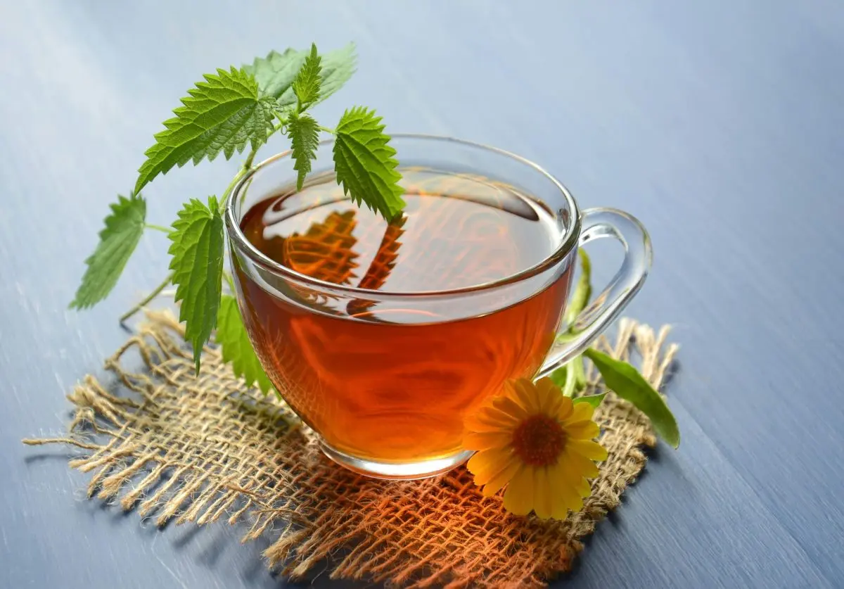 Herbal Tea: A Natural Way to Support Detoxification