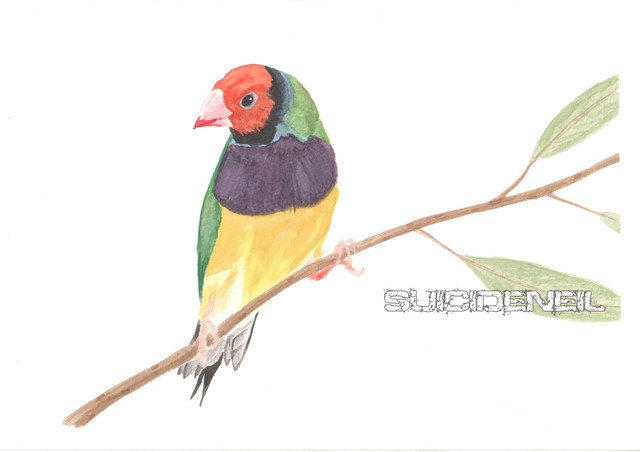 Painting6