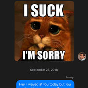 33