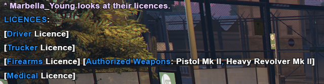 Marbella Licence