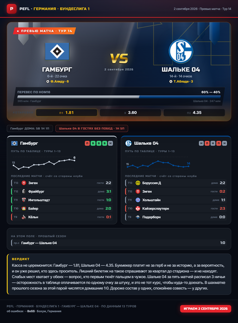08 hamburg schalke