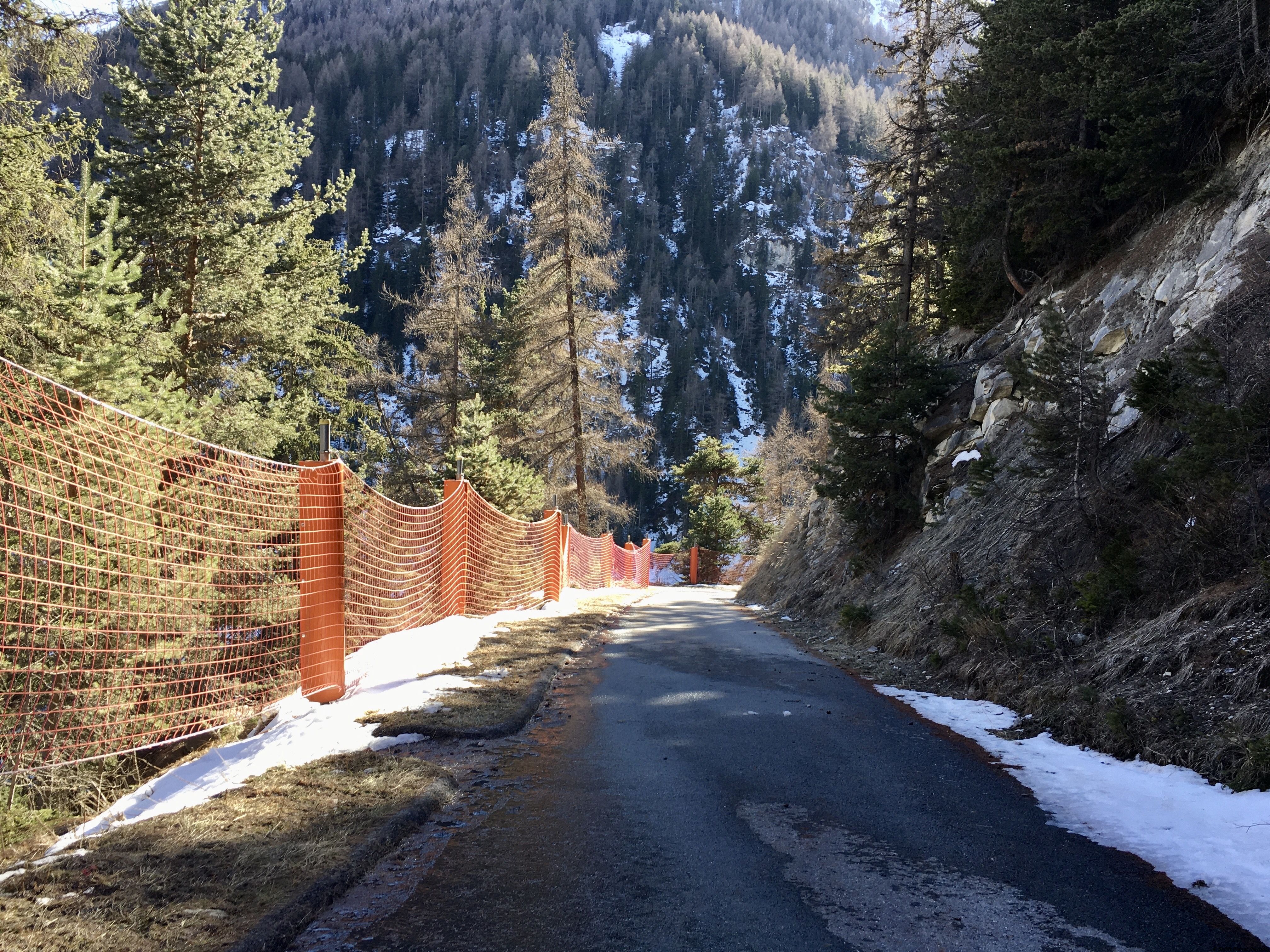 IMG-E3490.jpg