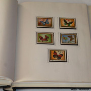 IMG-3959