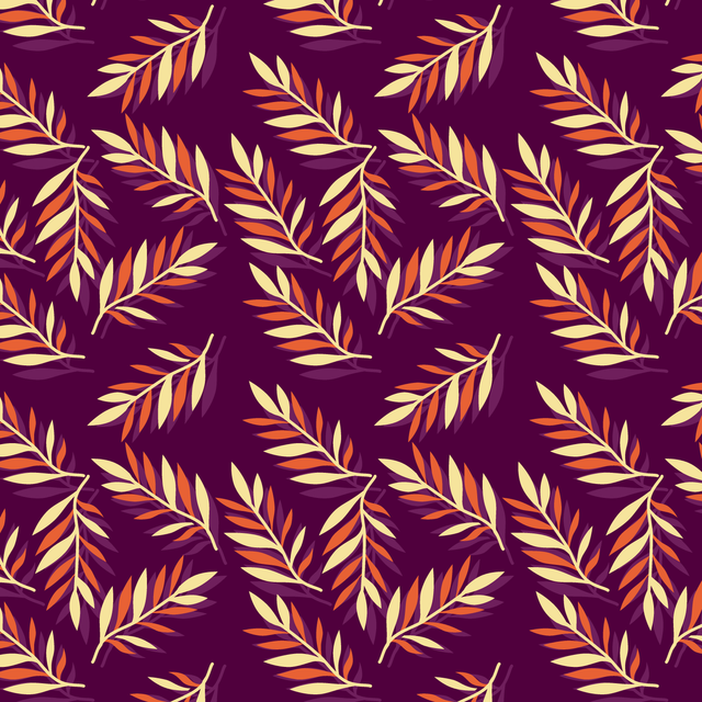 01 F.png