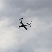 IMG-0905