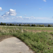 IMG-2525