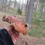 IMG-1003