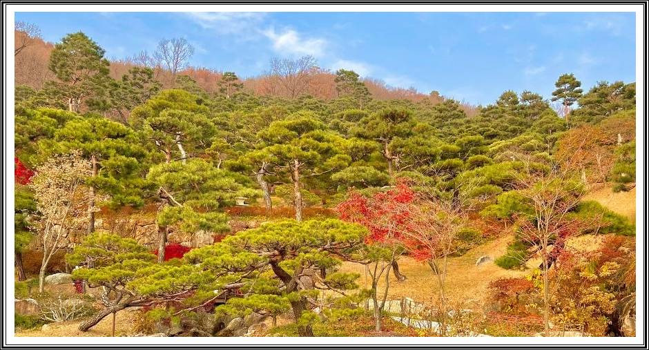 최적의 탐방 구역