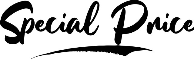 Special Price Modern Calligraphy Brush Lettering Text Graphic.jpg