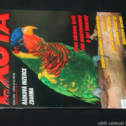 IMG-7809
