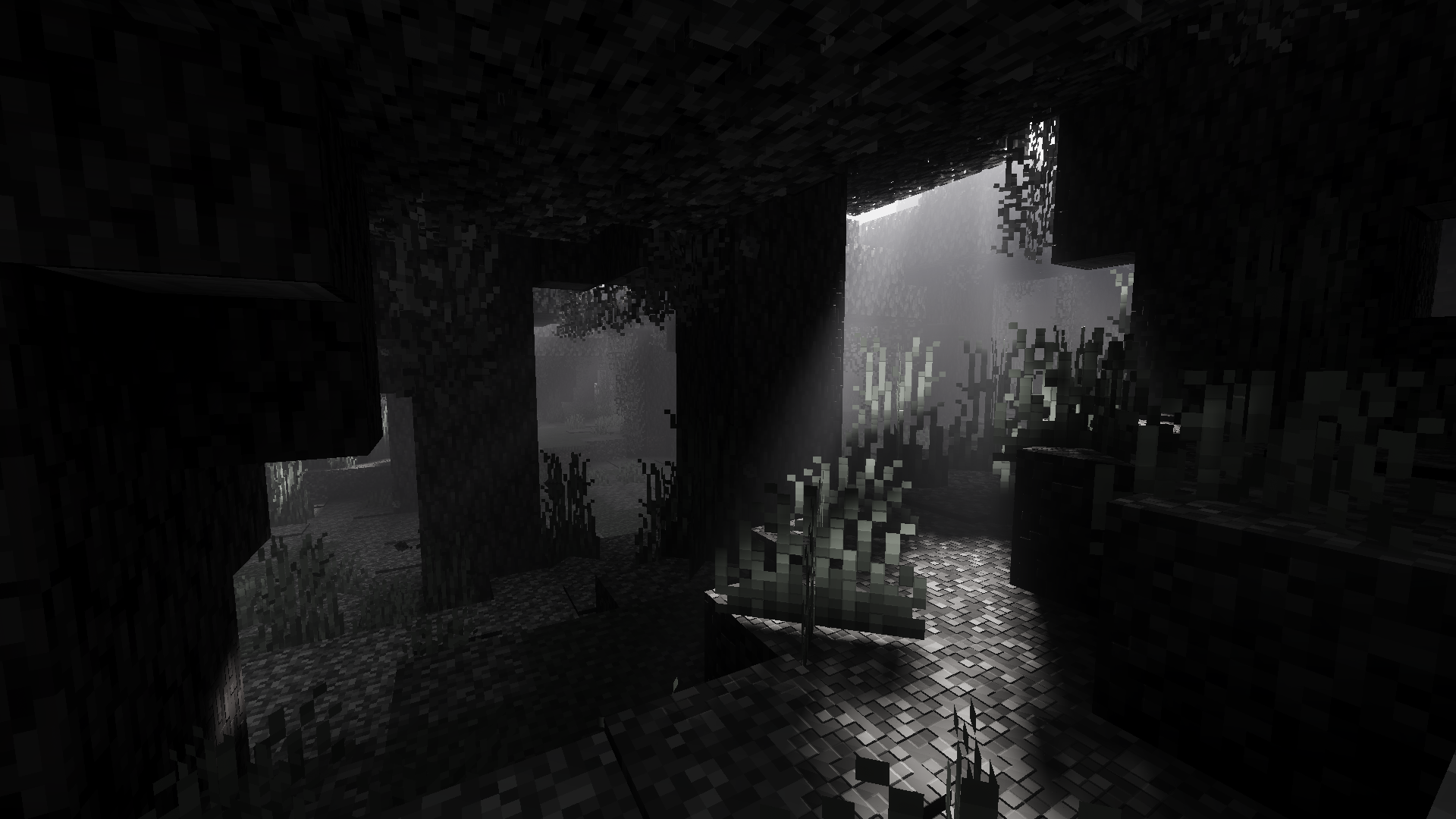 Dark Forest Light Shaft