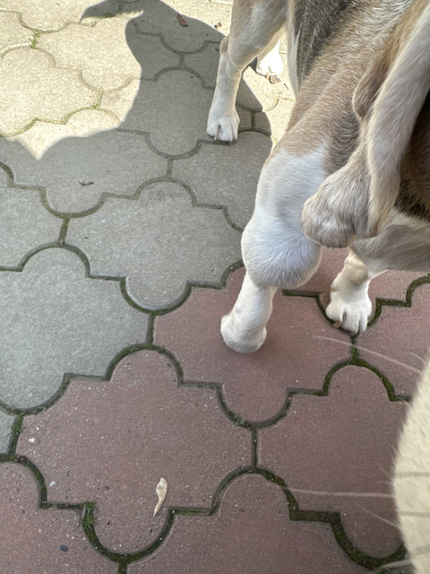 image0