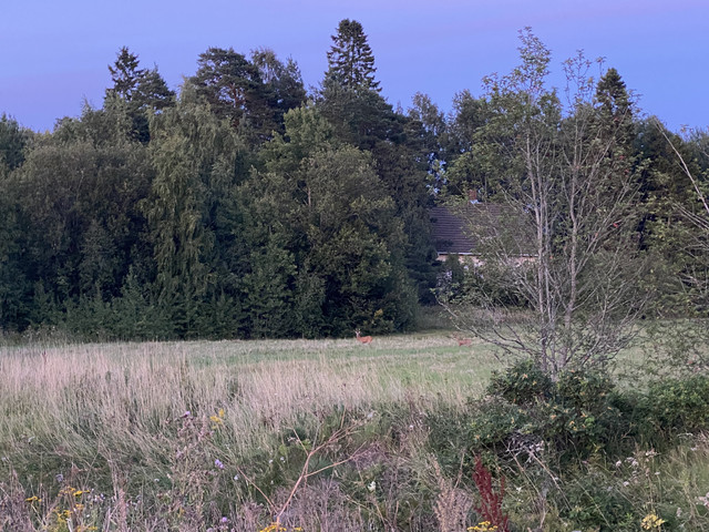 28-C1-A035-043-D-44-C7-B7-DE-760-D39441-