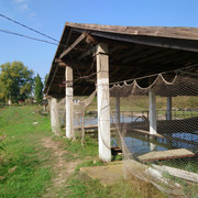 DSC-9577