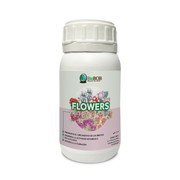 FLOWER-6