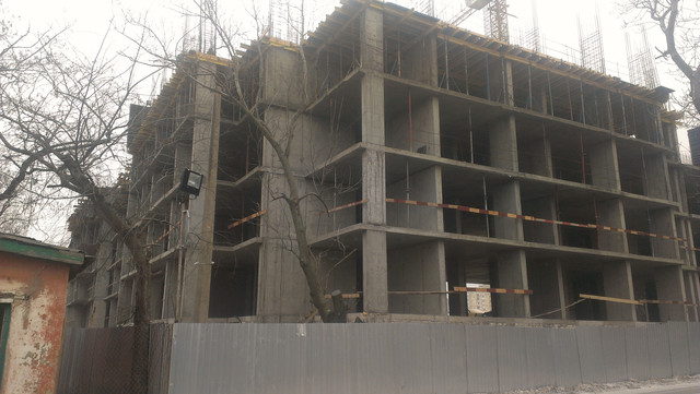 IMAG0081.jpg