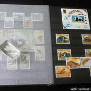 IMG-2266