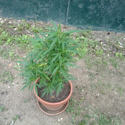 Photo0072