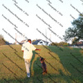 IMG 3008