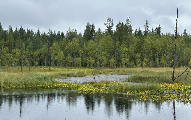 IMG 4855.jpg