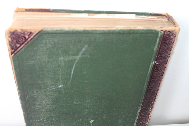IMG-7628.jpg
