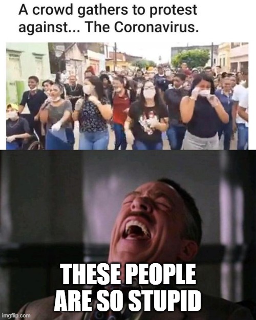 3thj2q.jpg