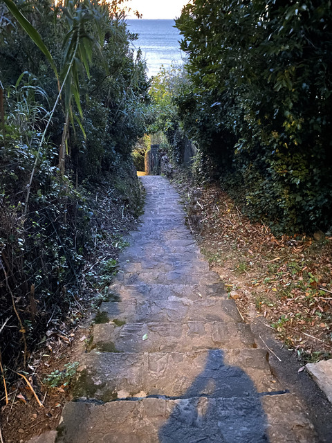 IMG-3908