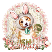 Jewels-blushingbunniestagbysuz