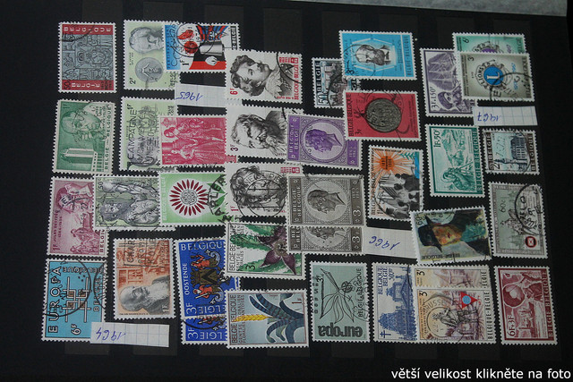 IMG-3442.jpg