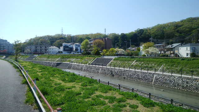 DSC-0072.jpg