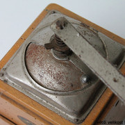 IMG-8308