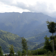 DSC7154