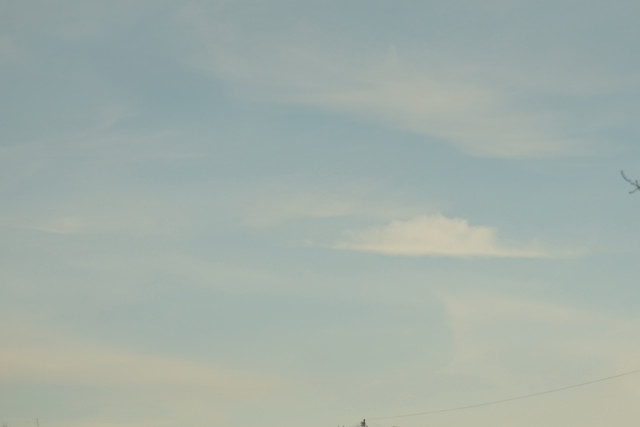 DSC01117