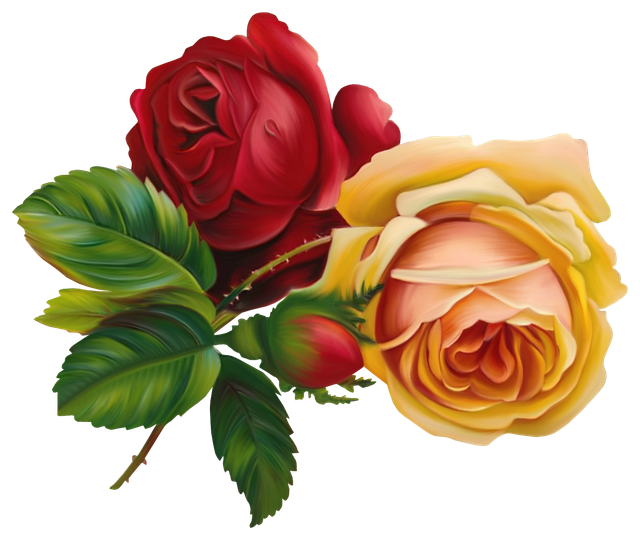 0 a3b79 ccc5ce41 orig.png