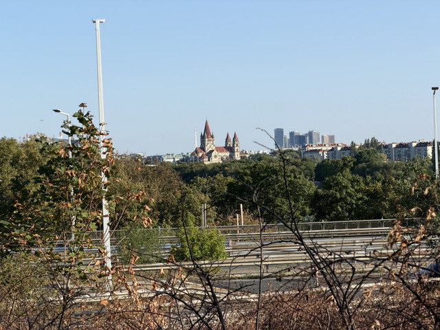 IMG 7069.jpg