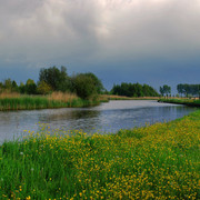 4637201182-506e0dbdb6-b